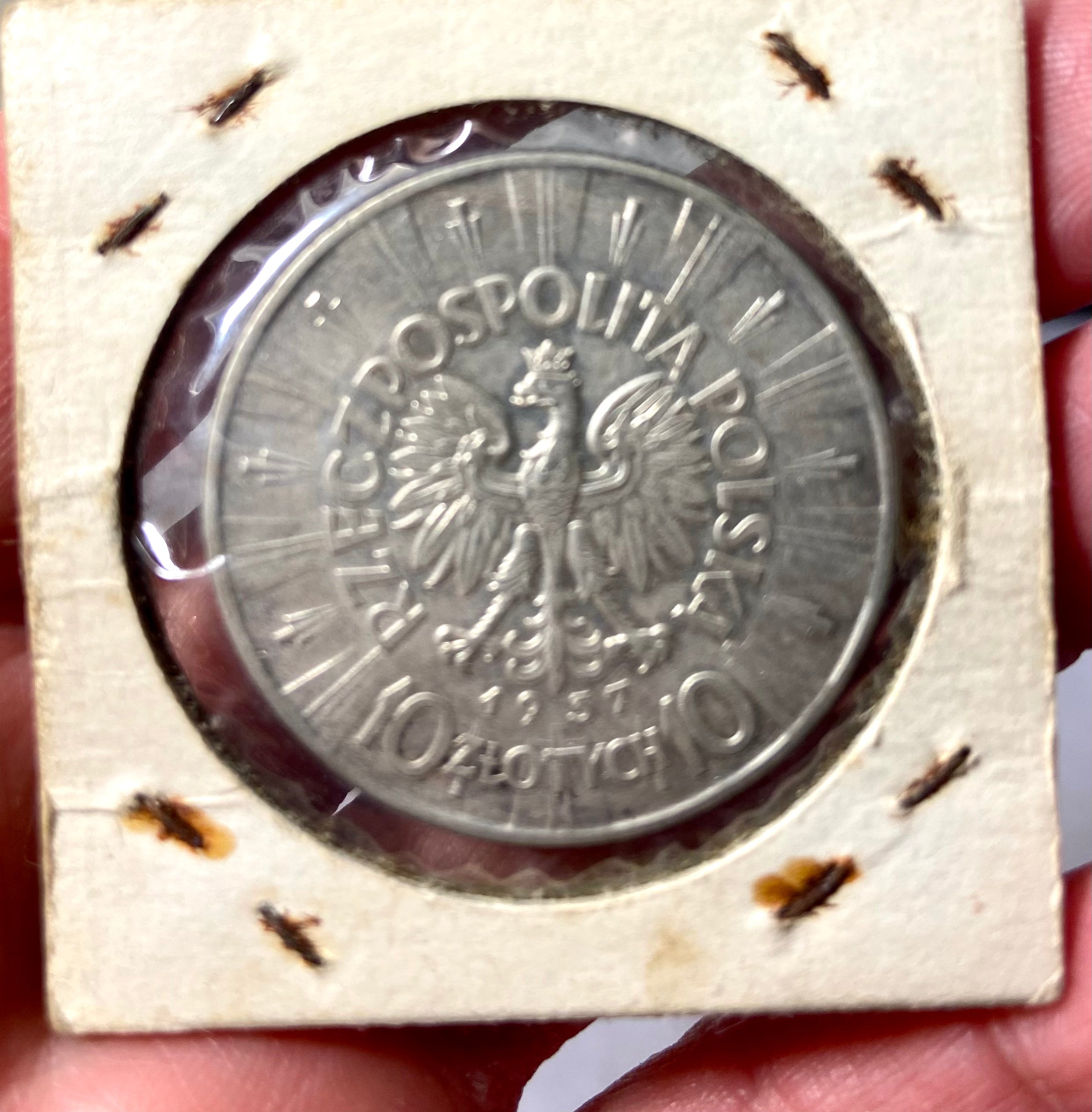 1936 10 Zlotych Polish 75% Silver Coin Misc